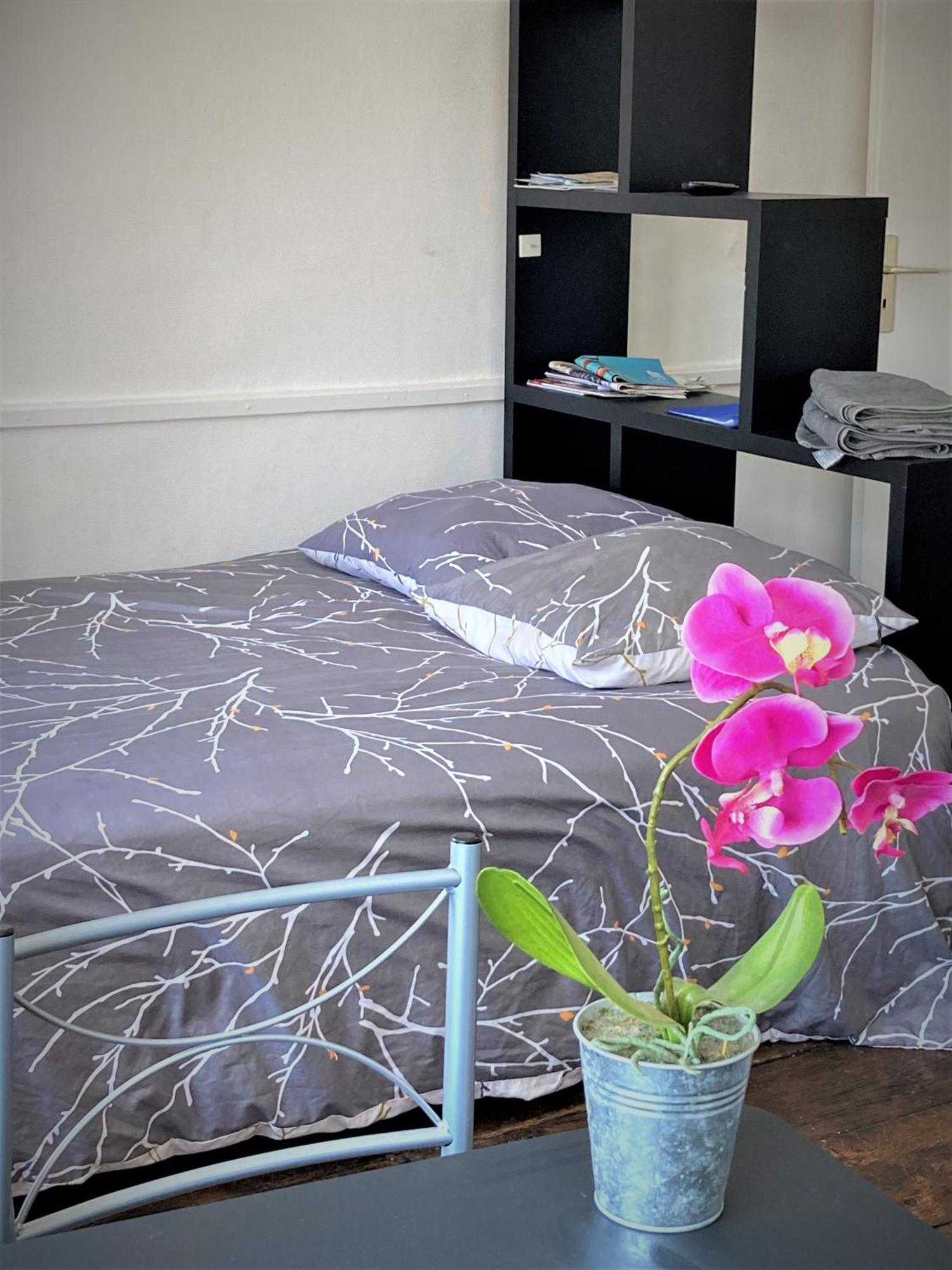 Studio Double 31 Centre De Limoges Wifi المظهر الخارجي الصورة